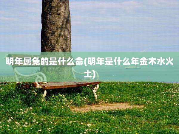 明年属兔的是什么命(明年是什么年金木水火土)