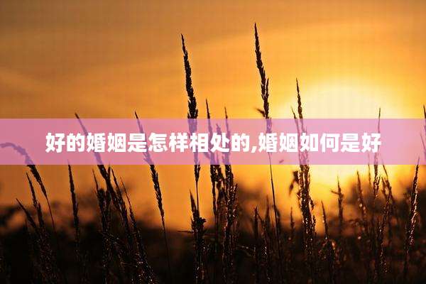 好的婚姻是怎样相处的,婚姻如何是好