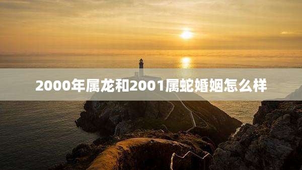 2000年属龙和2001属蛇婚姻怎么样