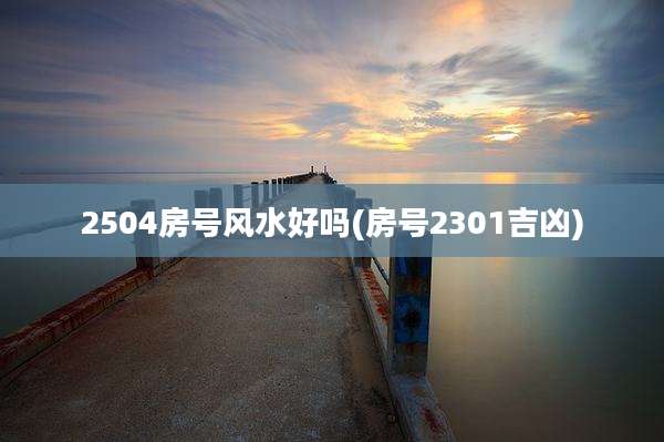 2504房号风水好吗(房号2301吉凶)