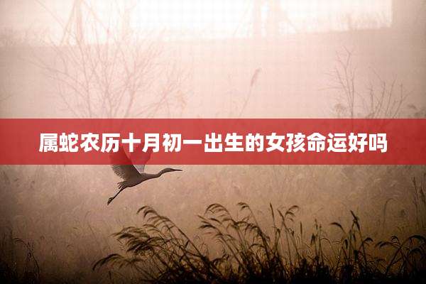 属蛇农历十月初一出生的女孩命运好吗