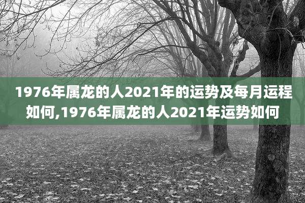 1976年属龙的人2021年的运势及每月运程如何,1976年属龙的人2021年运势如何