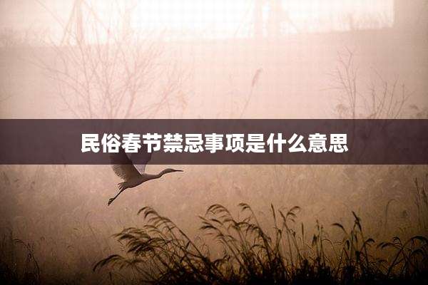 民俗春节禁忌事项是什么意思