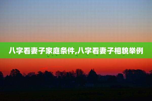 八字看妻子家庭条件,八字看妻子相貌举例