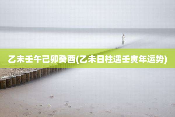 乙未壬午己卯癸酉(乙未日柱遇壬寅年运势)