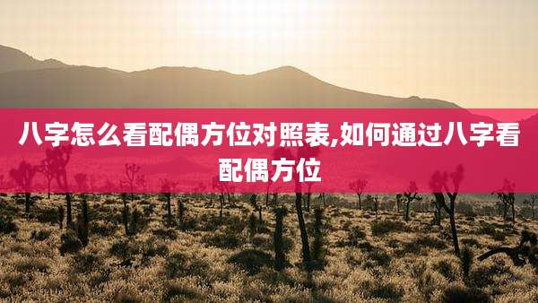 八字怎么看配偶方位对照表,如何通过八字看配偶方位