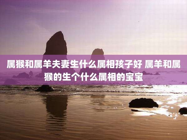 属猴和属羊夫妻生什么属相孩子好 属羊和属猴的生个什么属相的宝宝