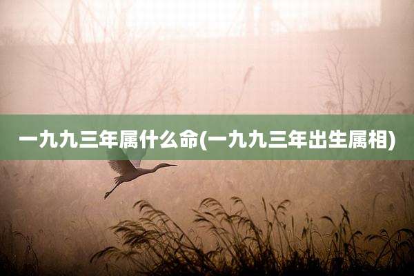 一九九三年属什么命(一九九三年出生属相)