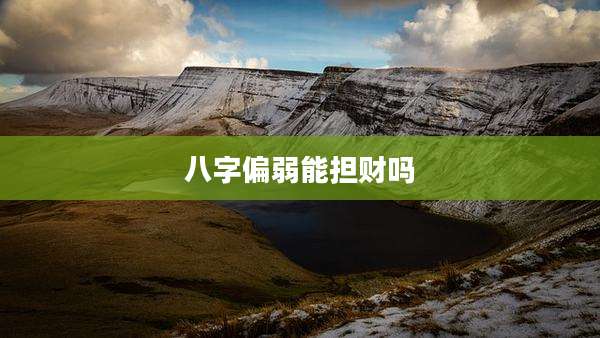 八字偏弱能担财吗