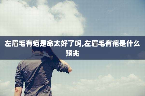 左眉毛有疤是命太好了吗,左眉毛有疤是什么预兆