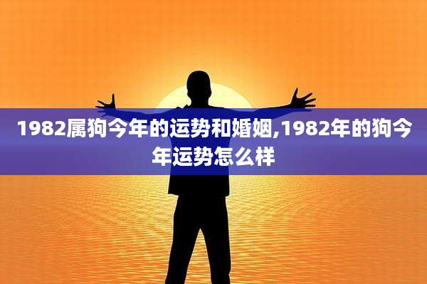 1982属狗今年的运势和婚姻,1982年的狗今年运势怎么样