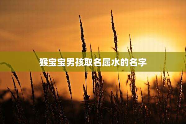 猴宝宝男孩取名属水的名字