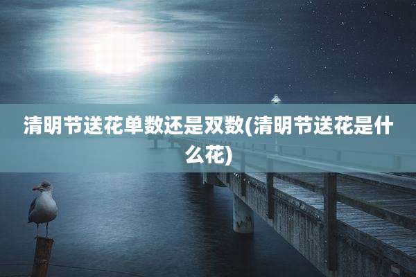 清明节送花单数还是双数(清明节送花是什么花)