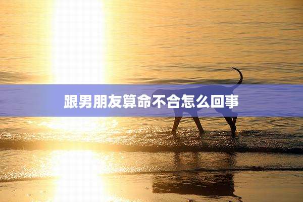跟男朋友算命不合怎么回事