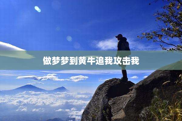做梦梦到黄牛追我攻击我