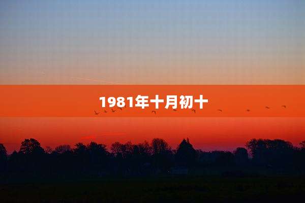 1981年十月初十