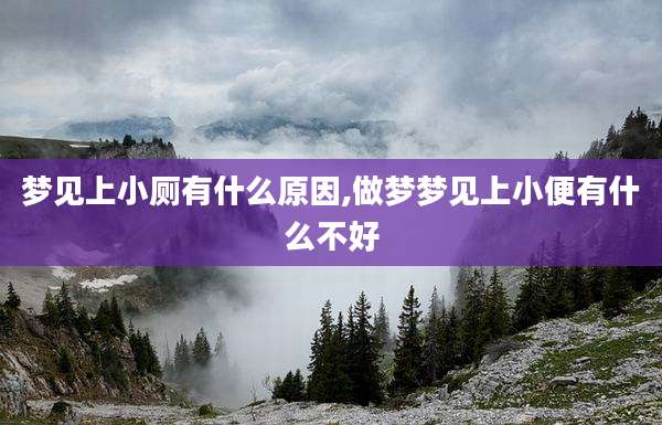 梦见上小厕有什么原因,做梦梦见上小便有什么不好