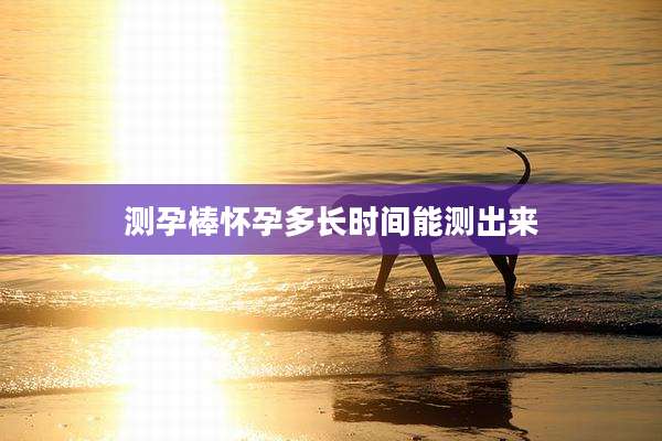 测孕棒怀孕多长时间能测出来