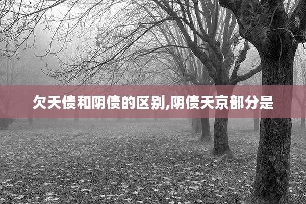欠天债和阴债的区别,阴债天京部分是