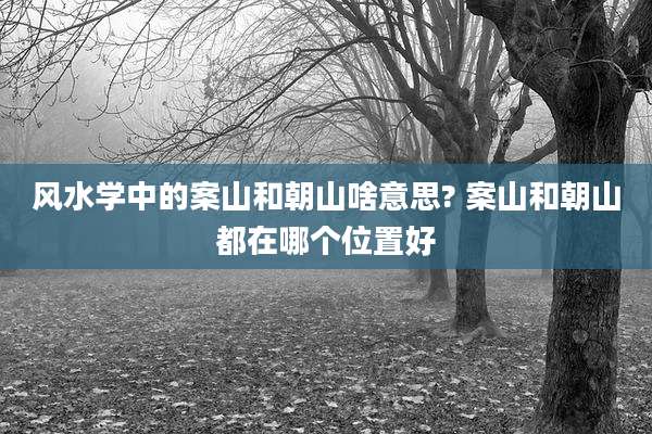 风水学中的案山和朝山啥意思? 案山和朝山都在哪个位置好
