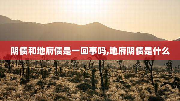 阴债和地府债是一回事吗,地府阴债是什么
