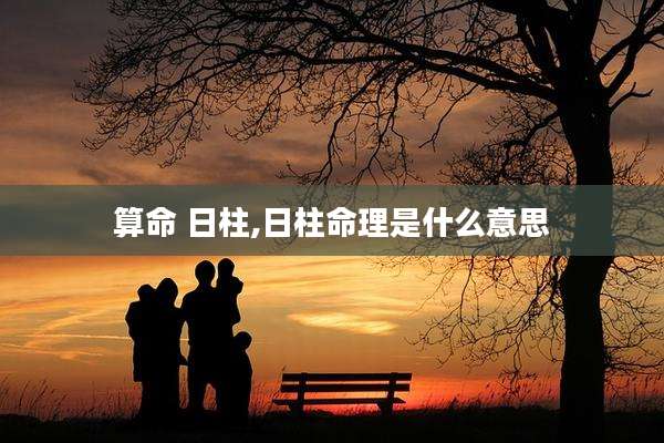 算命 日柱,日柱命理是什么意思