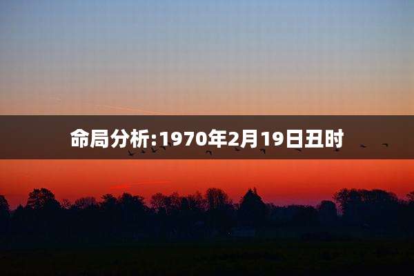 命局分析:1970年2月19日丑时