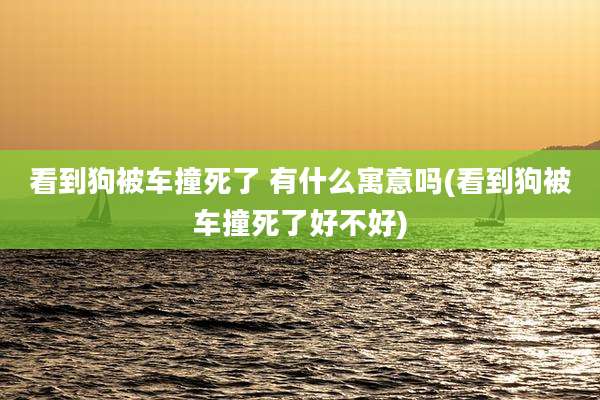 看到狗被车撞死了 有什么寓意吗(看到狗被车撞死了好不好)