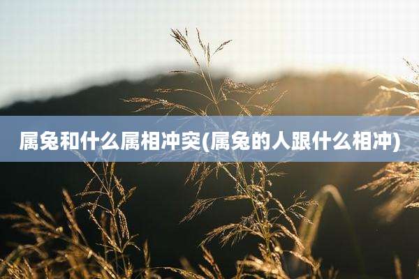 属兔和什么属相冲突(属兔的人跟什么相冲)