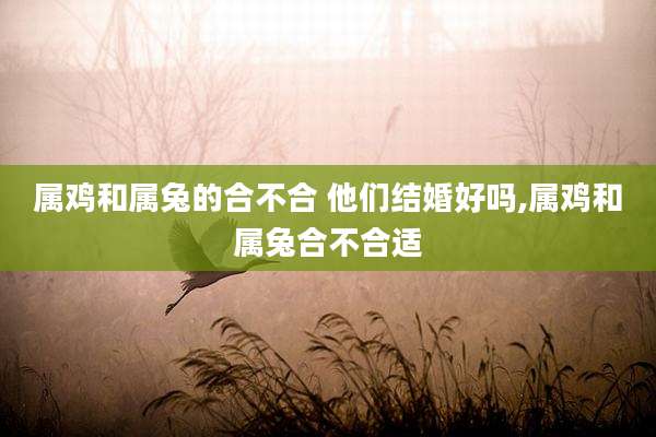 属鸡和属兔的合不合 他们结婚好吗,属鸡和属兔合不合适
