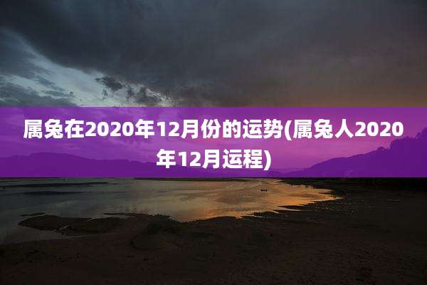 属兔在2020年12月份的运势(属兔人2020年12月运程)