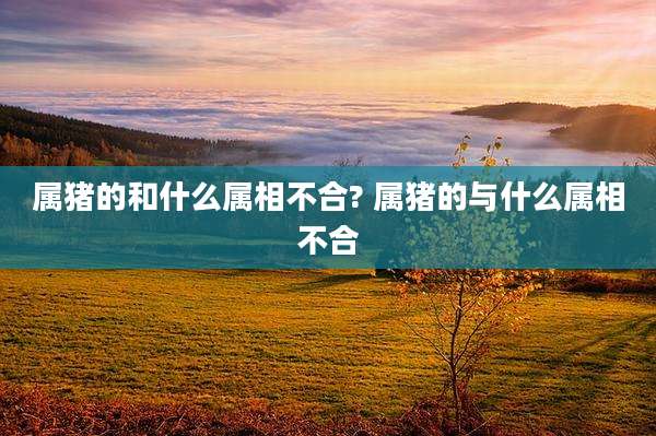 属猪的和什么属相不合? 属猪的与什么属相不合