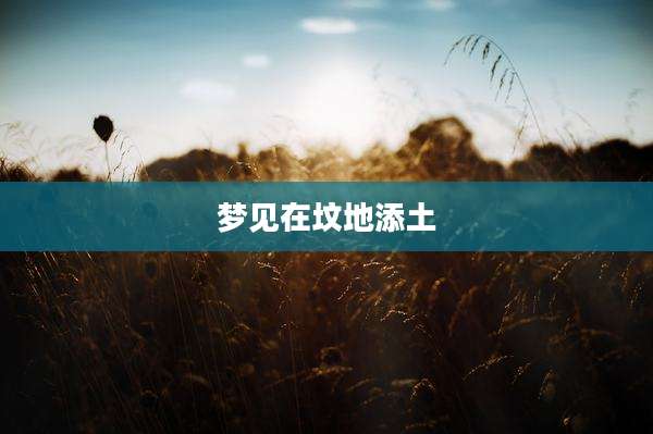 梦见在坟地添土