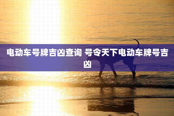 电动车号牌吉凶查询 号令天下电动车牌号吉凶