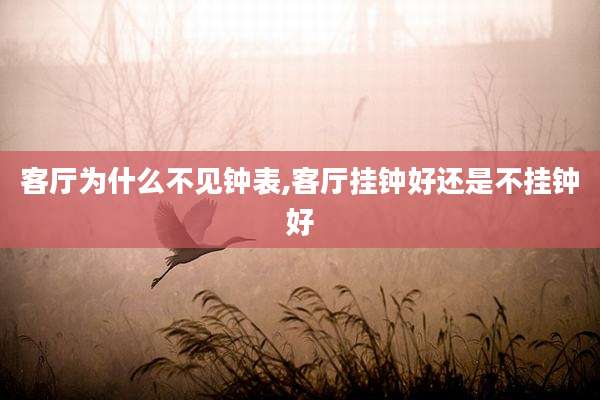 客厅为什么不见钟表,客厅挂钟好还是不挂钟好