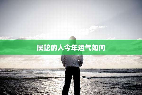 属蛇的人今年运气如何