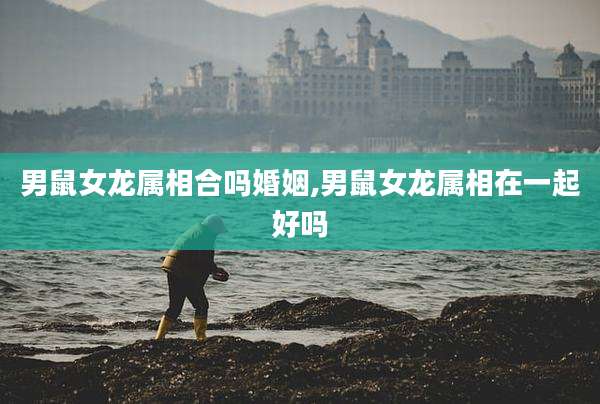 男鼠女龙属相合吗婚姻,男鼠女龙属相在一起好吗