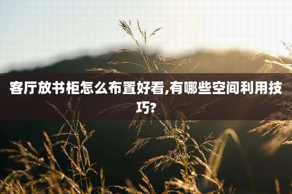 客厅放书柜怎么布置好看,有哪些空间利用技巧?
