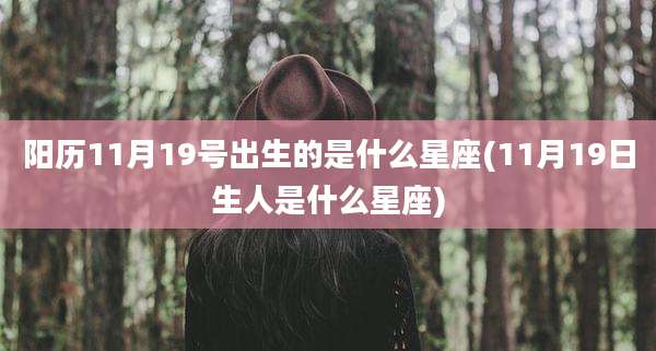 阳历11月19号出生的是什么星座(11月19日生人是什么星座)