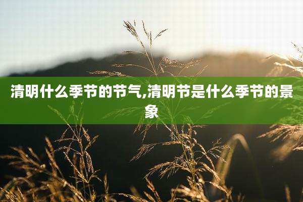 清明什么季节的节气,清明节是什么季节的景象