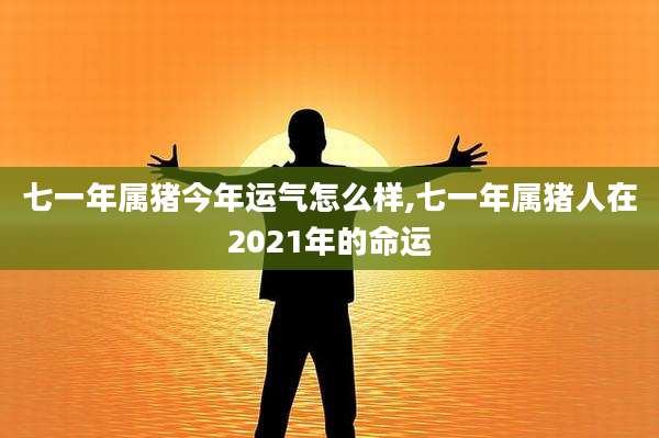 七一年属猪今年运气怎么样,七一年属猪人在2021年的命运
