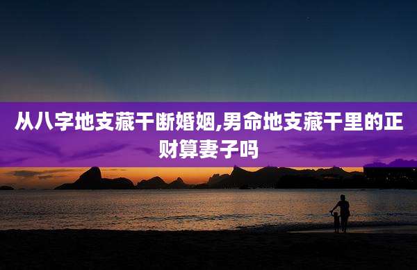 从八字地支藏干断婚姻,男命地支藏干里的正财算妻子吗