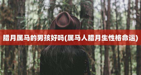腊月属马的男孩好吗(属马人腊月生性格命运)
