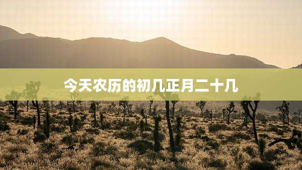 今天农历的初几正月二十几