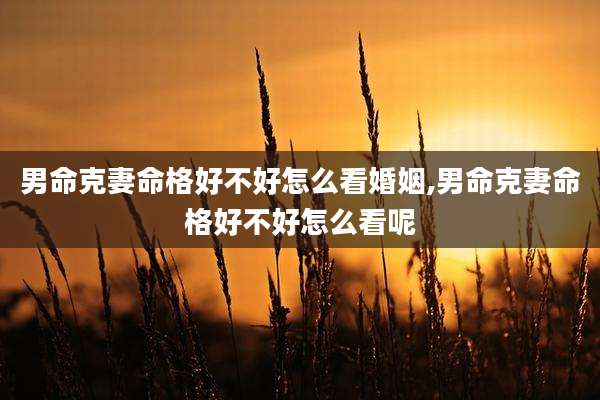 男命克妻命格好不好怎么看婚姻,男命克妻命格好不好怎么看呢