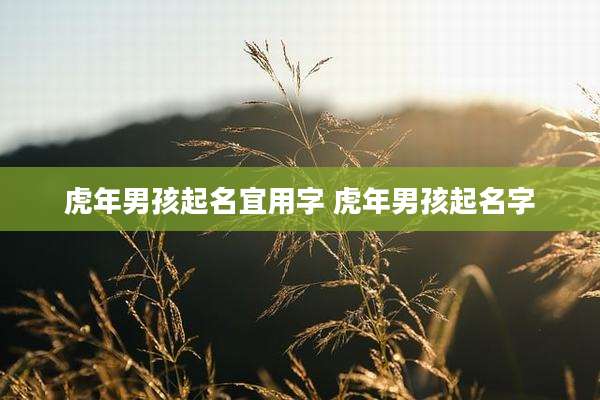 虎年男孩起名宜用字 虎年男孩起名字