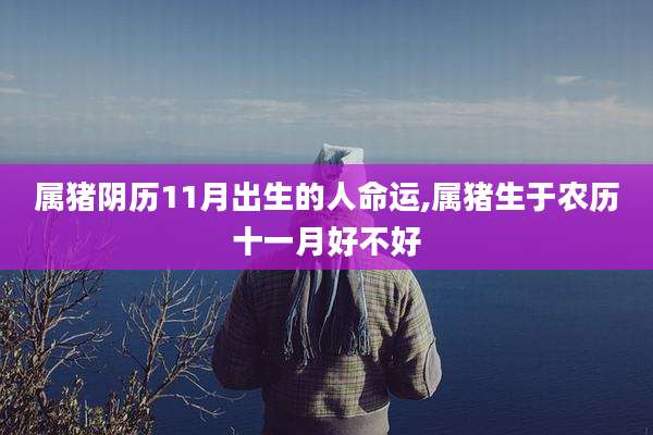 属猪阴历11月出生的人命运,属猪生于农历十一月好不好