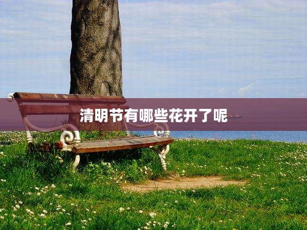 清明节有哪些花开了呢