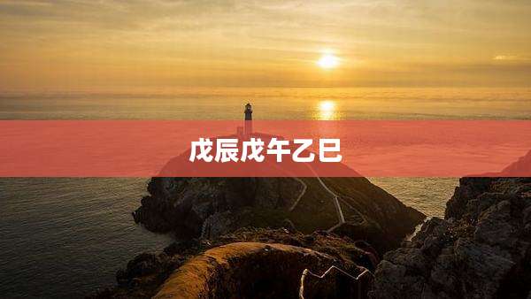 戊辰戊午乙巳