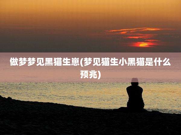 做梦梦见黑猫生崽(梦见猫生小黑猫是什么预兆)